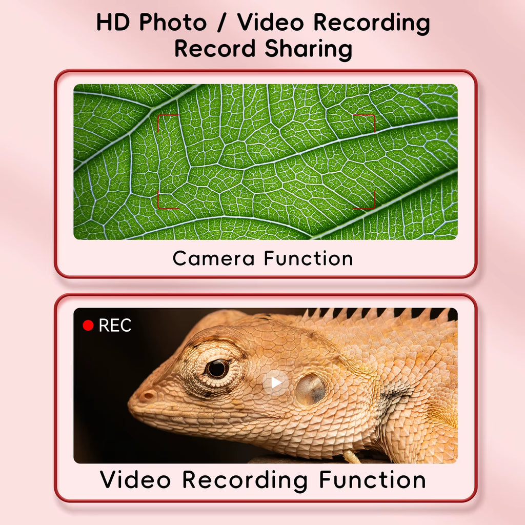 Microscope vidéo