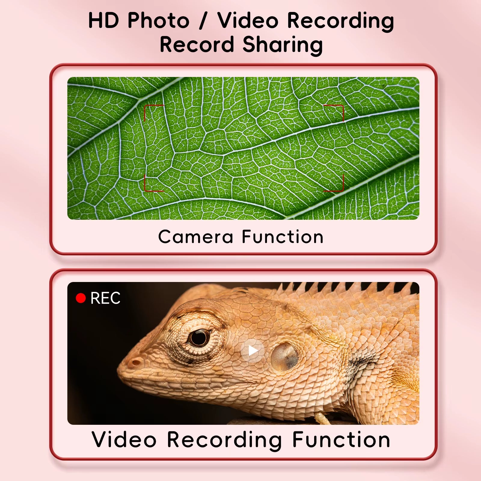 Microscope vidéo