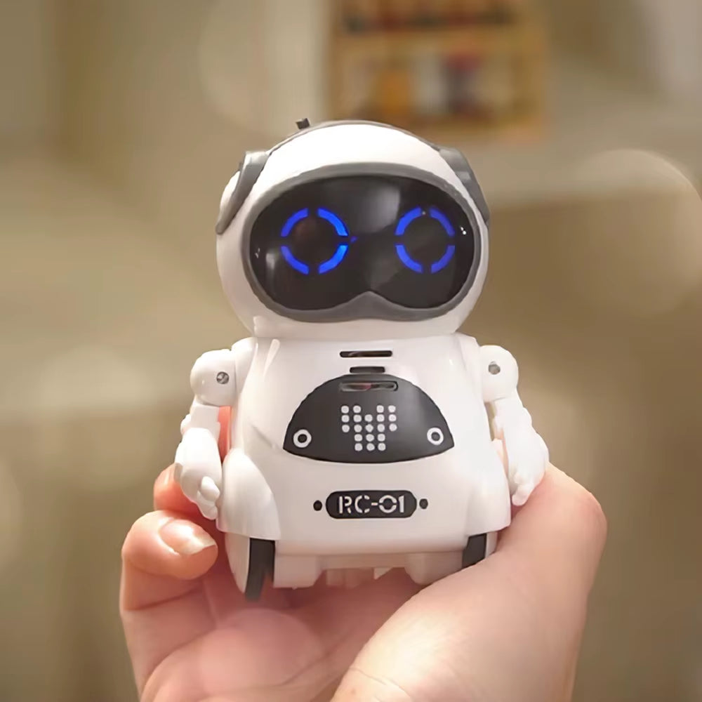 Robot de poche 